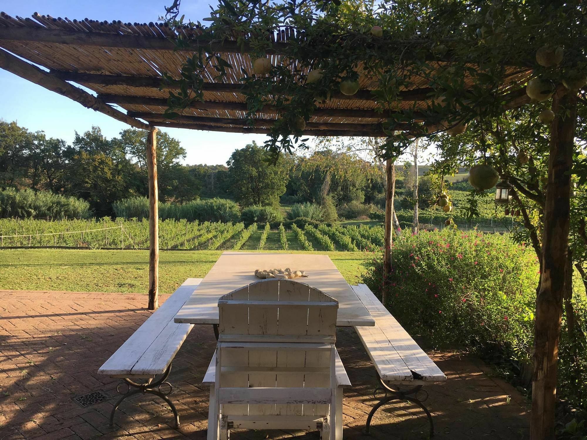 Borgo Del Gelso Bed & Breakfast Olgiata Exterior photo