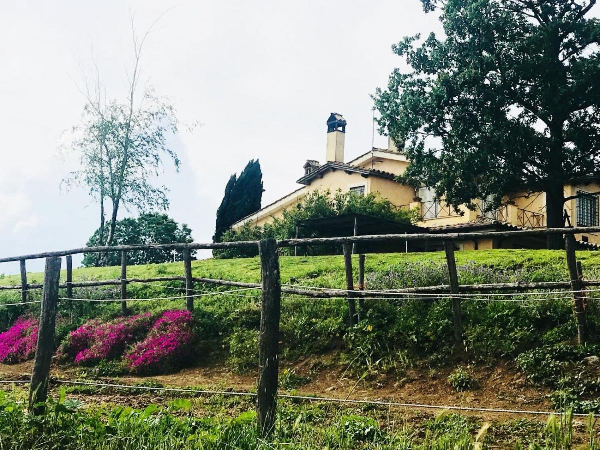 Borgo Del Gelso Bed & Breakfast Olgiata Exterior photo
